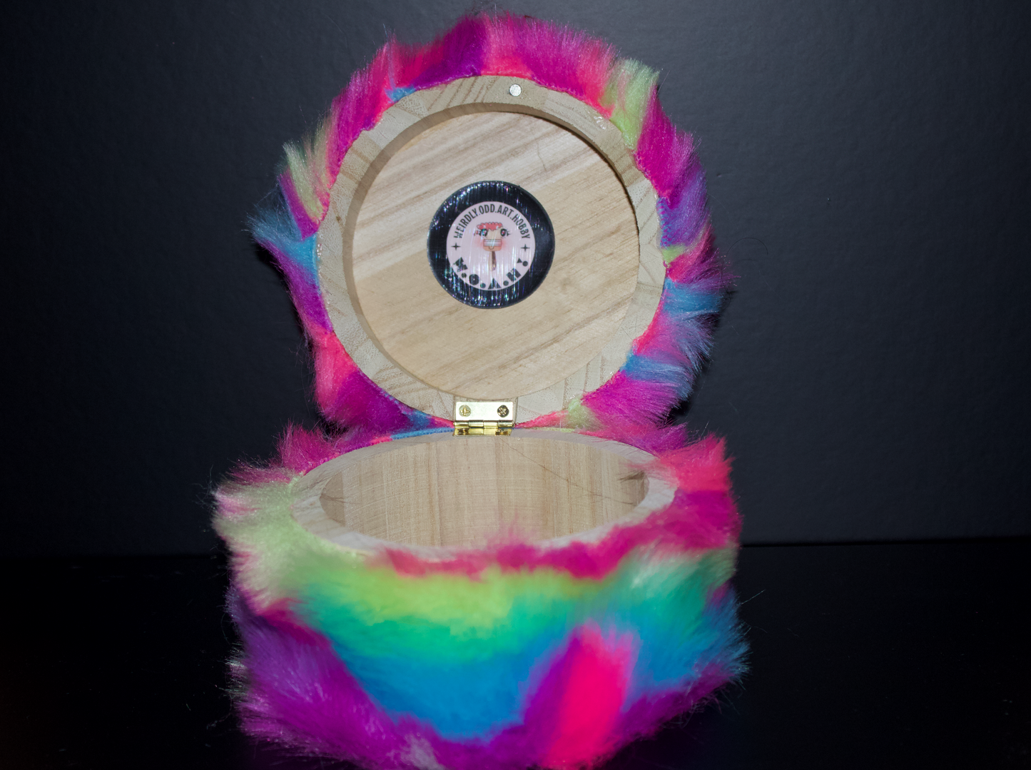 RAINBOW FAUX FUR CHEST